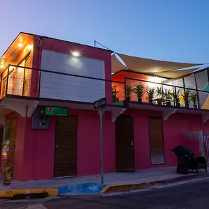 Guava House Hostel